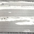 7 3현대사회의 위기/제13장 오스트레일리아의 '채굴' / 토양의 낮은 생산성 2 이미지