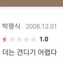 해피 댕 데이 이미지