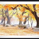 호반베르디움에코 이미지