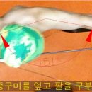 만작 이미지