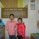 느티나무 도서관 이미지