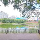 동백호수공원 이미지