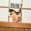 모해 - 제천시 | 모해