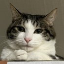 (주)에스팜 이미지