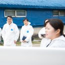 장수양돈 이미지