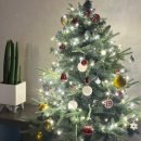 스테이가온해 이미지