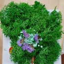 장림초등학교 병설유치원 이미지