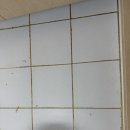 대구금호LH천년나무1단지경로당 | 대구 북구 사수동 LH천년나무 1단지 화장실 셀프줄눈 재시공 후기 | 사수동 줄눈업체