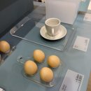 (주)리빙 | 코엑스 서울 리빙 디자인페어 후기, 쇼핑 리스트