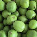 칠봉산 농장 이미지