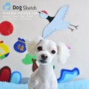 Happy 애견샵 이미지