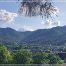 터미널2길 이미지