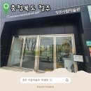 시민사회단체부설 | 청주 시립미술관 '특별한 것' 관람안내