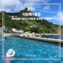 해수펜션 | 울릉도 사동 울릉푸른나무펜션 사동해수풀장 근처 숙소 이용후기