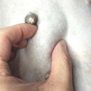 죽전예담동물병원 이미지