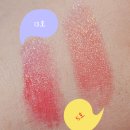 소요쿠키앤커피 | 싱가포르에서 사온 선물과 기념품 하울 - 박과 육포 머라이언 쿠키 찰스앤키스 바샤커피 면세점 후기