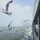 천사바다펜션 이미지