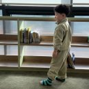 조리도서관 | 대구 도서관 방문 후기｜아이랑 실내 나들이 코스