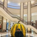 시티프라자 | 인천 파라다이스시티 호캉스 후기 애프터눈티 원더박스 플라자 추천