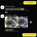 멍멍아학교가자 (대명점) 이미지