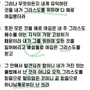 바오로 | 베노니 베냐민 지파 개요 뜻 의미 거주지 위치 지도 출신 인물 성경 관련 역사 이스라엘 12지파 성경...