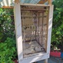 나비랑 | 보홀 나비농장 나비보호소 방문후기