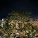 느긋한 시절 이미지