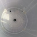 별내5로 이미지