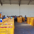 인우농장 이미지