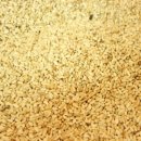 스마트캣 이미지