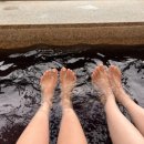 (주)눈치 이미지