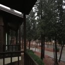 태생파크 이미지