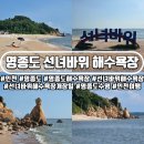 이마트24 선녀바위점 | 인천 영종도 선녀바위 해수욕장 2026 일정, 텐트 그늘막 설치 여부