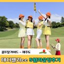 테디벨리 | 5월 제주골프후기, 테디밸리cc 현재잔디상태