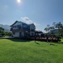 강여울 숲 이미지