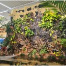 엔젤아쿠아펫가든 이미지