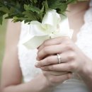 함께 남북결혼정보회사 이미지