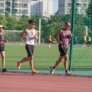 아르피아 이미지