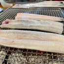 장어의 꿈 이미지