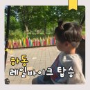 북천역 | 하동 북천 레일바이크 양귀비 시즌 탑승 후기