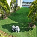 태안키즈풀빌라아이랜드 이미지