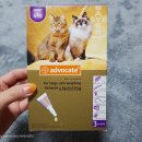 백석메디칼약국 이미지