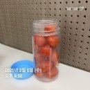 손유나클리닉 캣주사 복부 2회차 후기, 눈에 띄는 변화가 보여요!