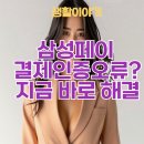 삼성페이 결제인증오류? 지금 바로 해결 가능한 방법 총정리✅