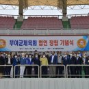 부여종합운동장 이미지