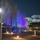 한중우호의숲 이미지