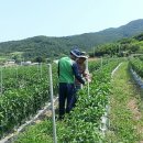 죽포출장소 이미지