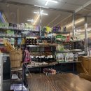 동갈보대 이미지