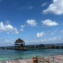 모이라호텔 | 로얄캐리비안 크루즈 멕시코 여행 투어 후기!(미국 갤버스턴 출발->Roatan->Costa Maya->Cozumel)