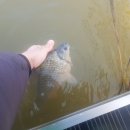 용성좌대 이미지